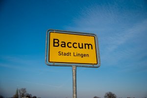 Baccum